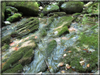 foto Cascate in Val Carazzagno